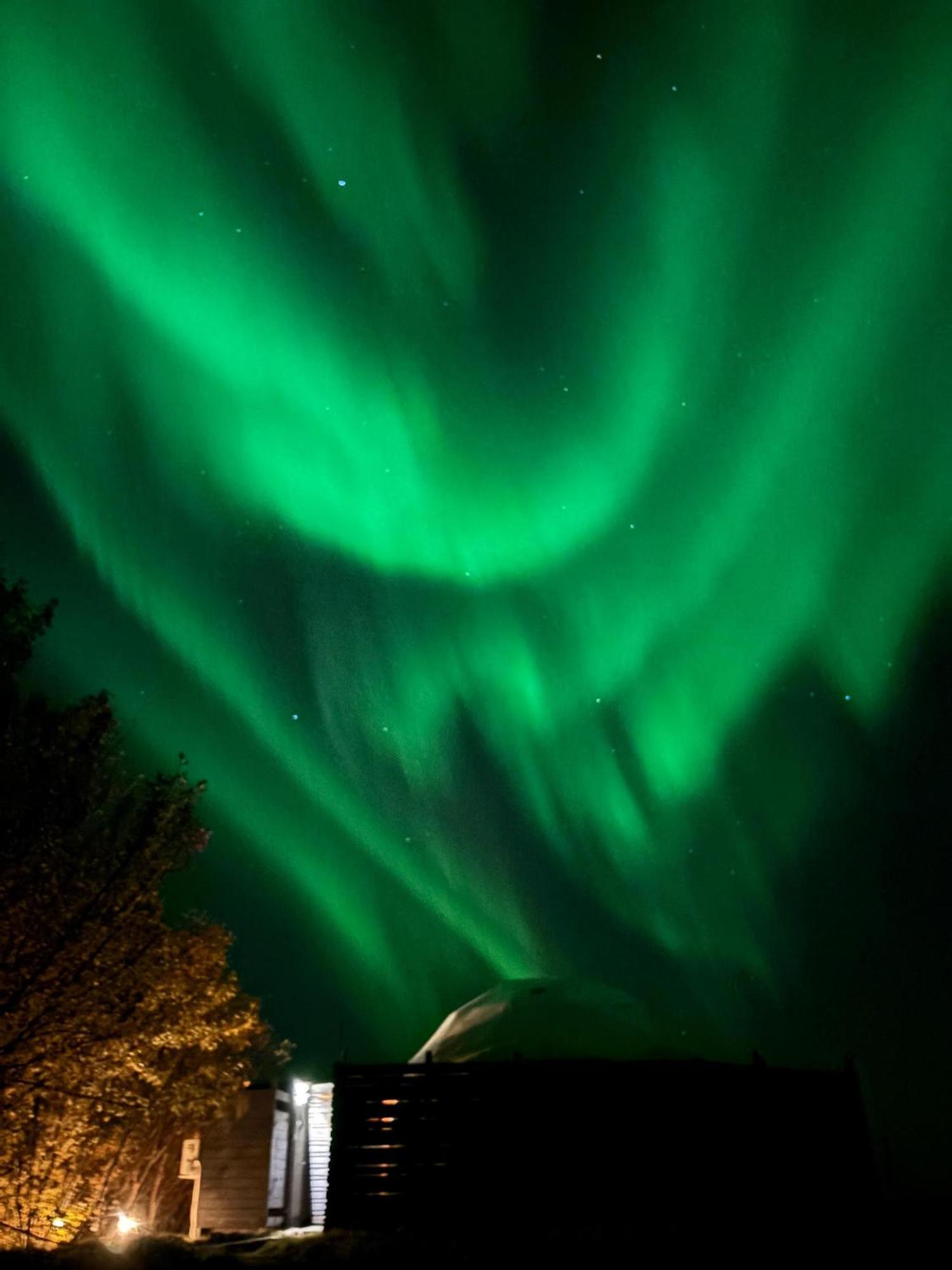 Aurora Dome - South Coast Iceland Hvolsvöllur Zewnętrze zdjęcie